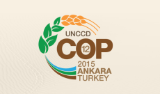 UNCCD COP12 Taslak Gündemi ve İlgili Dokümanlar Belirlendi