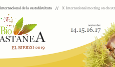 Biocastanea 2019 Konferansı-11/17 Kasım 2019 İspanya