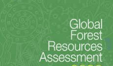 Global Forest Resources Assessment 2020- Küresel Orman Kaynakları Değerlendirmesi (FRA)