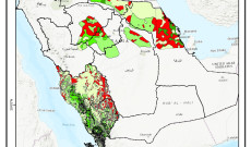 Ormancılık konusunda Suudi Arabistan ile işbirliği