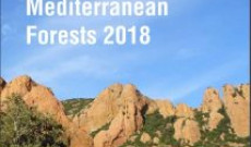 Akdeniz Ormanlarının Durumu 2024( the State of Mediterranean Forests 2024)