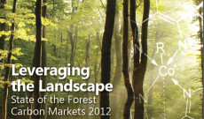 Orman Karbon Piyasaları 2012 yılı Raporu