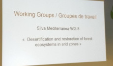 Akdeniz Ormancılığı- Çölleşme ve Kurak Bölgelerin Rehabilitasyonu Çalışma Grubu