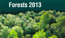 Akdeniz Ormanlarının Durumu Raporu hazırlık toplantısı