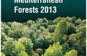 Akdeniz Ormanlarının Durumu-2018