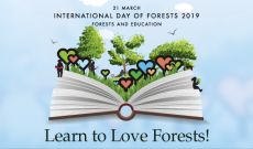 Federatia Silva-Romanya’da Uluslararası Orman Günü