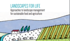 Entegre Peyzaj Yönetimi Integrated Landscape Management (ILM) Konsepti