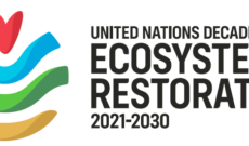 BM Ekosistem Restorasyonu Stratejisi ve Ormancılık Faaliyetleri