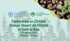 İklim Konferansı Güncel Belgeleri- 2 Ağustos 2021