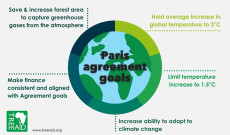 Paris İklim Anlaşması ve Ormancılık