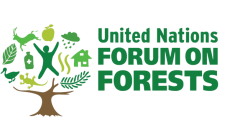 UNFF Büro’ nun İlk Toplantısı-14 Haziran  2022