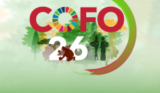 FAO Ormancılık Komitesi/The Committee on Forestry (COFO)3-7 Ekim 2022