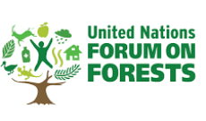BM Orman Formunda (UNFF) neler yapıyoruz?