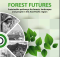 Asya-Pasifik Bölgesi 2030/2050 Ormancılık Senaryoları