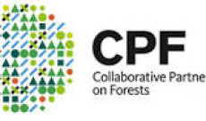 Ormanlar Üzerine İşbirliği Ortaklığı (CPF) Değerlendirme  Toplantısı-22/23 Şubat 2023