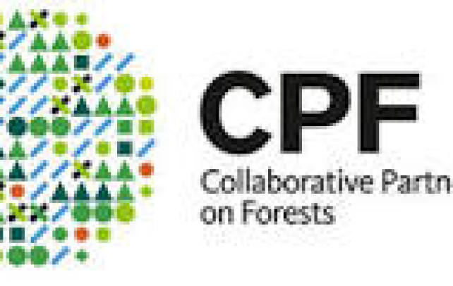Ormanlar İşbirliği Ortaklığı (CPF) Değerlendirme  Toplantısı-22/23 Şubat 2023