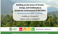 UNFF ormanlar, enerji ve geçim toplantısı-4 Nisan 2023