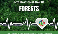 Dünya Ormancılık Günü-2023