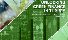 Türkiye Yeşil Büyüme Analitik ve Danışmanlık Programı-Türkiye Green Growth Analytical and Advisory Program- Şubat 2022
