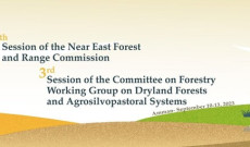 Yakın Doğu Ormancılık ve Mera Komisyonu-10/13 Eylül 2023 Amman