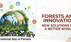 Uluslararası Ormanlar Günü-2024