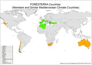 s_foresterra