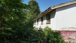 12010481_744587575645556_3342012817940884708_o