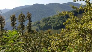 12022405_744587512312229_4060480043859178447_o