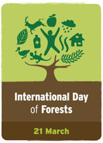 IntDayForests_Logo_E