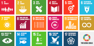 Global-goals-for-sustainability