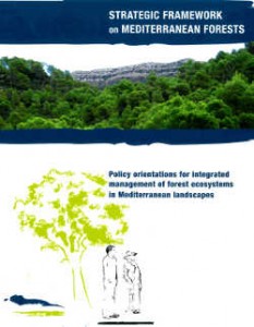 Akdeniz Ormanları Strateji Belgesi